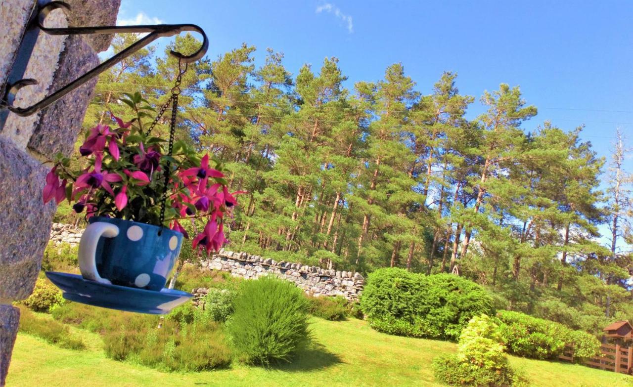 Serendipity Bed And Breakfast Dalchreichart Exterior foto